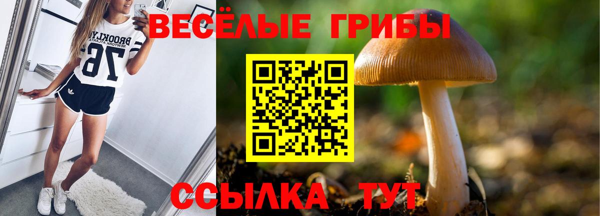 Дзержинский  Галлюциногенные грибы ЛСД  Галлюциногенные грибы MAGIC MUSHROOMS  Вход с VPN 