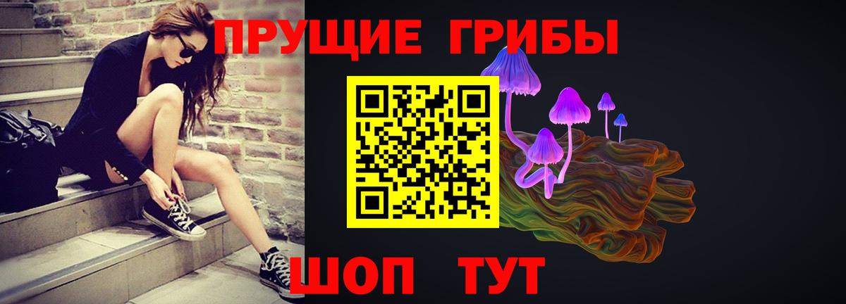 Галлюциногенные грибы Cubensis Дзержинский